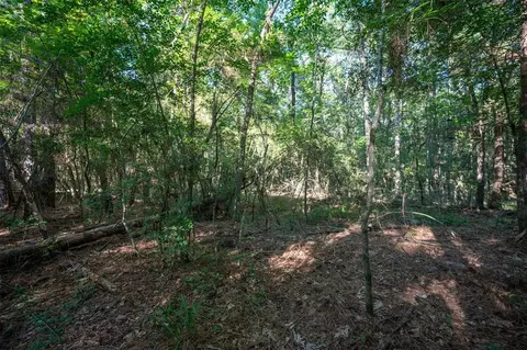 tbd C R 3000, Woodville, TX 75979