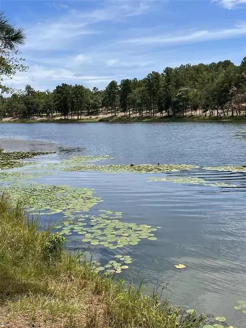 1408 Private Road 131, Centerville, TX 75833