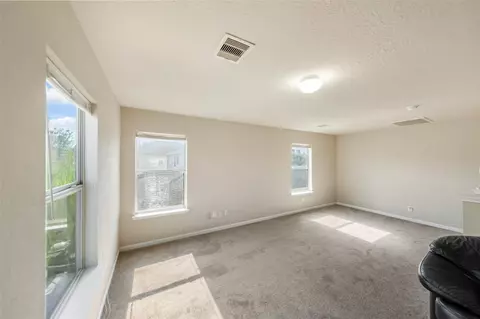 Other - 2914 Rustling Chestnut St, Spring, TX 77389 photo 10 of 10