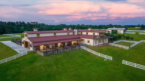 23981 Old Dobbin Plantersville Rd, Montgomery, TX 77316