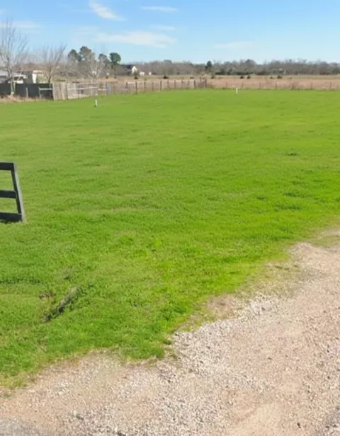 12025 Mcfarlane Rd, Beasley, TX 77417 photo 6