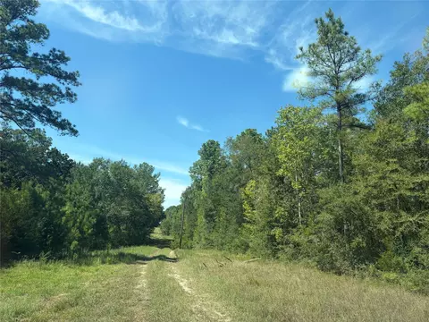 24683 Cavan, Hempstead, TX 77445 photo 5