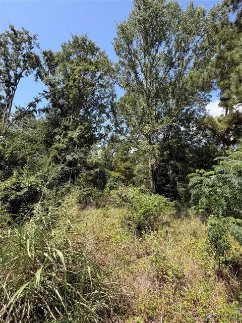 175 Hanson Rd, Onalaska, TX 77360 photo 3