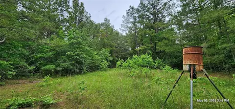 108 6 Acres East Side County Road 3230, Clarksville, TX 75426