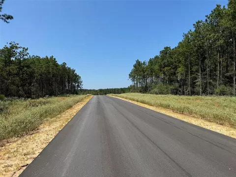 16076 Forest Mill Rd, Willis, TX 77378 photo 7