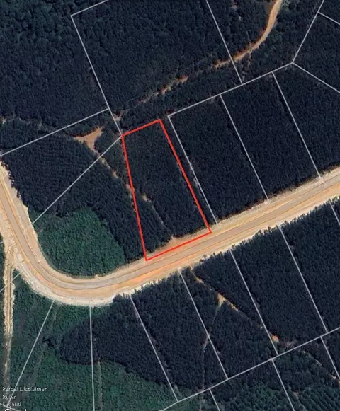 16076 Forest Mill Rd, Willis, TX 77378 photo 3