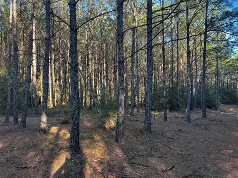16076 Forest Mill Rd, Willis, TX 77378 photo 6