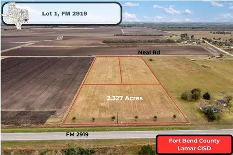 000 Fm 2919 #LOT 1, Beasley, TX 77417