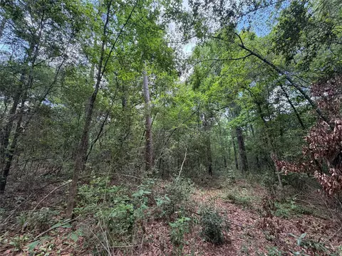 15744 Ridge Oak Rd, Willis, TX 77378 photo 4