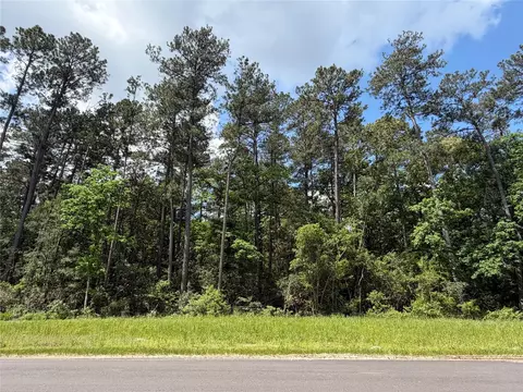 15744 Ridge Oak Rd, Willis, TX 77378 photo 2