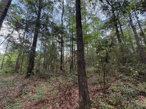 15744 Ridge Oak Rd, Willis, TX 77378 photo 3