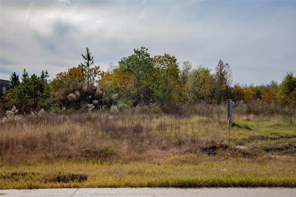  788 Road 5812, Cleveland, TX 77327 photo 3