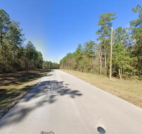 19 Windmill Rd, New Waverly, TX 77358