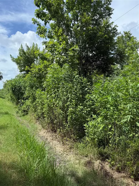 000 Pine, Brazoria, TX 77422