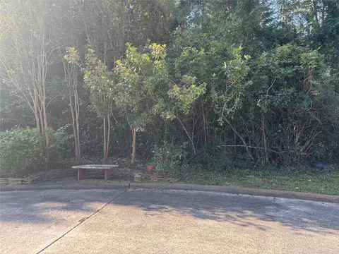 901 Longmire Rd, Conroe, TX 77304 photo 5