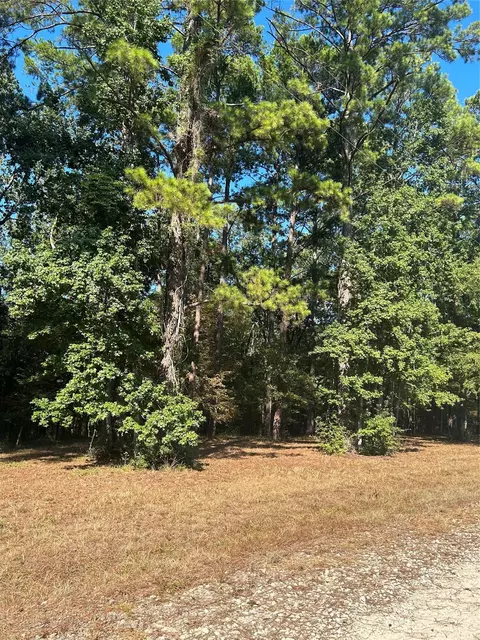 575859 Grand Pine Cir, Livingston, TX 77351