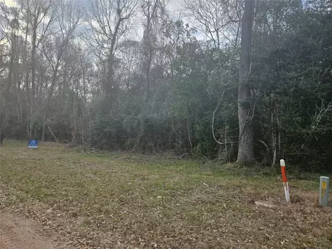 0 Winding Creek Dr, Shepherd, TX 77371