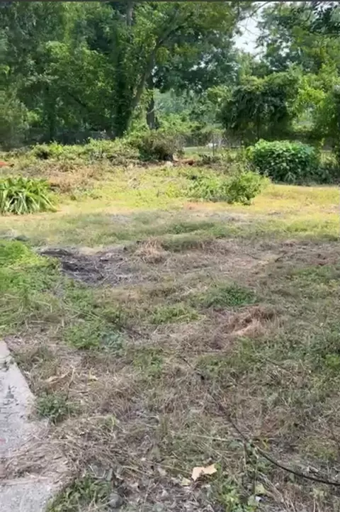 750 Pickering St, Houston, TX 77091