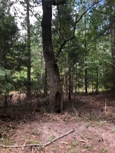 0 Kickapoo - Tract 33 Colt Ii Rd, Groveton, TX 75845