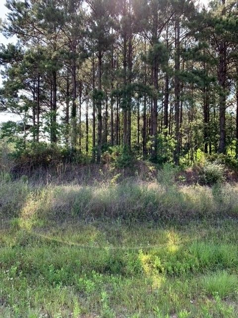 5007 Corner Of County Rd 5007  