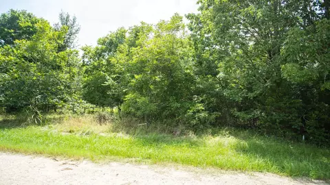 384 Hideaway Dr, Trinity, TX 75862 photo 3