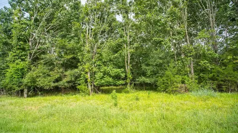 384 Hideaway Dr, Trinity, TX 75862 photo 4