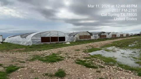 2037 Fm 2761, Alleyton, TX 78935