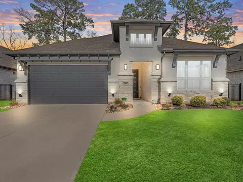 216 Bee Balm Ct, Conroe, TX 77304 photo 1