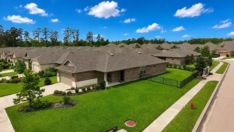 View/Area - 226 Flaxen Chestnut, Spring, TX 77382 photo 2 of 4
