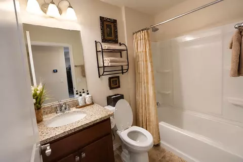Bath - 226 Flaxen Chestnut, Spring, TX 77382 photo 4 of 4