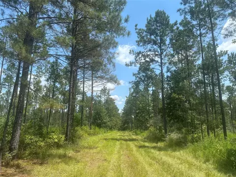 tbd Fm 1005, Jasper, TX 75951