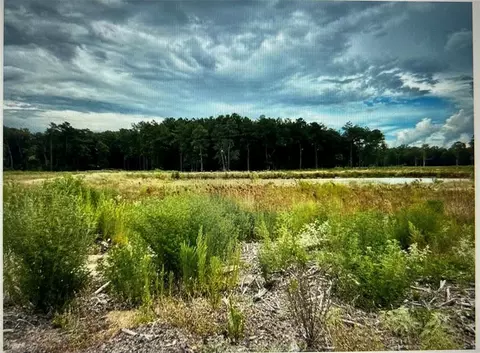 Tbd Lot 4 County Road 2184, Cleveland, TX 77327