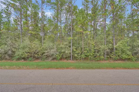 0000 E Williams Rd, Conroe, TX 77303 photo 5