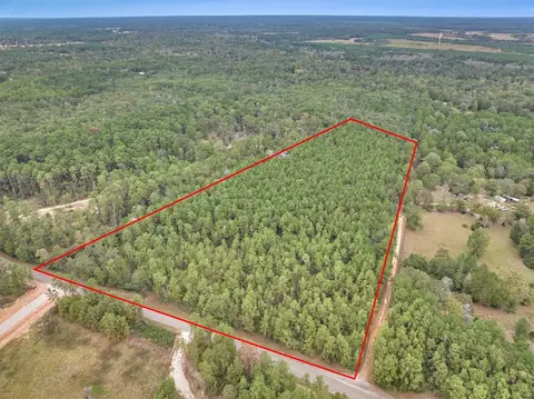 0000 E Williams Rd, Conroe, TX 77303 photo 4