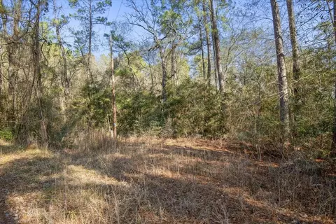 13321 Lueders Ln, Plantersville, TX 77363