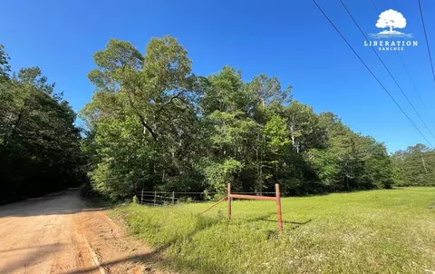 tbd John Warren Lot 6 Rd, Coldspring, TX 77331 photo 6