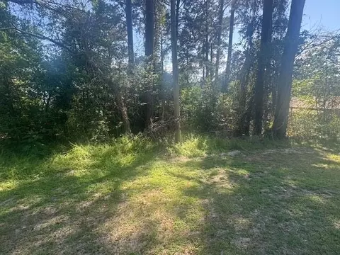 tbd Evergreen Cir, Point Blank, TX 77364 photo 1