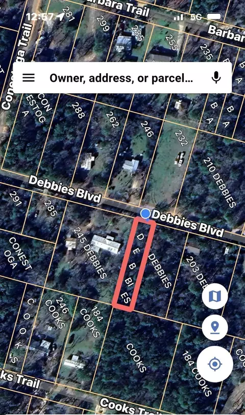 tbd Debbies Blvd, Livingston, TX 77351