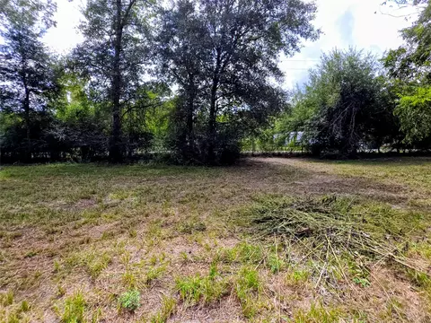 0 3rd St, Batson, TX 77519 photo 4