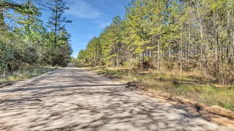 10999 Ruger Rd, Willis, TX 77378 photo 11