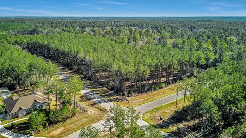 10999 Ruger Rd, Willis, TX 77378 photo 13
