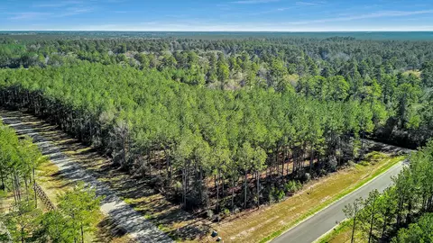 10999 Ruger Rd, Willis, TX 77378 photo 15