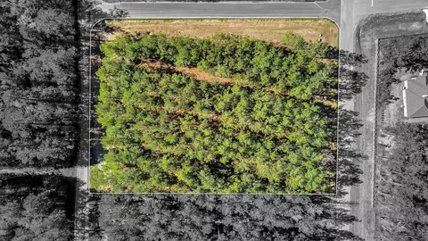 10999 Ruger Rd, Willis, TX 77378 photo 24
