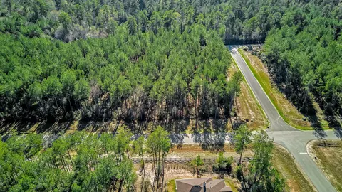 10999 Ruger Rd, Willis, TX 77378 photo 17