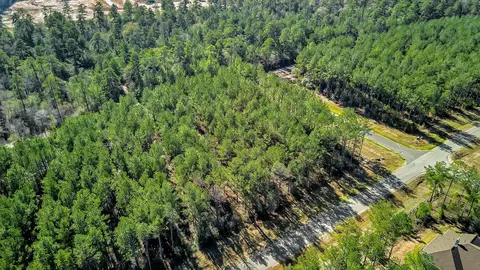 10999 Ruger Rd, Willis, TX 77378 photo 19