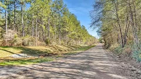 10999 Ruger Rd, Willis, TX 77378 photo 6