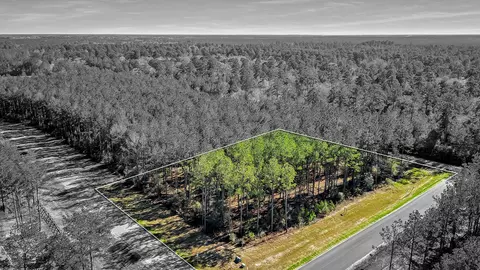 10999 Ruger Rd, Willis, TX 77378 photo 14