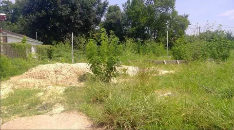 8783 Othello St, Houston, TX 77029