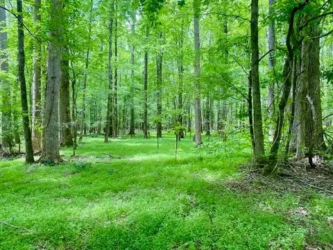 0 Pete Johnson Rd, Other, GA 30668