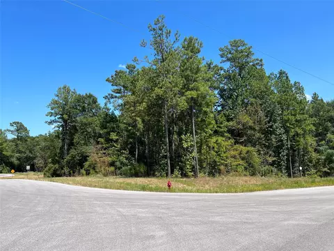 70-21 13 Wagon Pass Dr, Huntsville, TX 77340